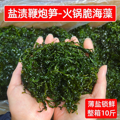 盐渍鞭炮笋10斤火锅专用脆海藻一箱马尾藻龙须长寿菜凉拌商用食材