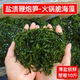 盐渍鞭炮笋10斤火锅专用脆海藻一箱马尾藻龙须长寿菜凉拌商用食材