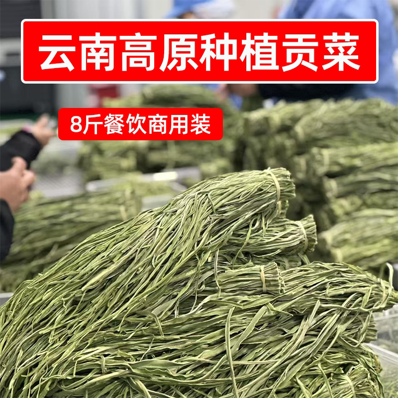 识蜀记云南高原贡菜批发8斤商用1整箱干贡菜特产火锅凉菜辣卤食材