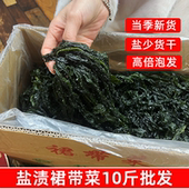 新鲜盐渍裙带菜10斤非纯干货批发整箱海带芽嫩苗火锅冒菜商用食材