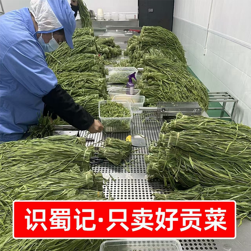 识蜀记贡菜批发商用精选一箱云南大理农家自晒贡菜干火锅卤菜食材