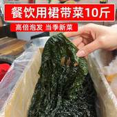 餐饮专用盐渍裙带菜10斤半干整箱非纯干货凉拌麻辣烫火锅食材商用