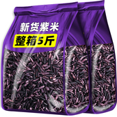 紫糯米新米云南特产五谷杂粮糙米饭粗粮粽子饭团材料专用煮粥月子