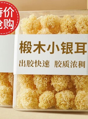 椴木小银耳干货非特级无熏硫木耳软糯易出胶古田农家特产胶质浓稠