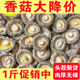 煲汤食材 香菇新货古田农家肉厚无根香菇新蘑菇蛹虫草冬菇批发