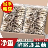 净重无干燥剂 鹿茸菇干货无熏硫新鲜整根鹿茸菌鹿耳菇煲汤批发
