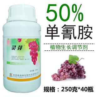 50%单氰胺催芽剂破眠剂葡萄催芽促芽破眠生长调节剂单氰氨农药