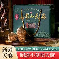 天麻新鲜正宗小草坝天麻仿野生特级云南昭通天麻礼盒装新鲜天麻