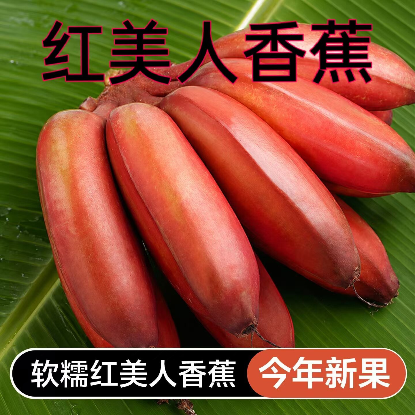 红美人香蕉新鲜水果当季现摘红皮香蕉软糯香甜整箱包邮