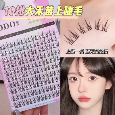 洛兜10排大禾苗假睫毛