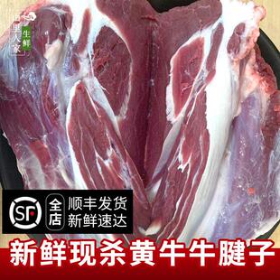 3斤整根牛腱子肉现杀农家散养黄牛新鲜牛肉牛腩生牛肉冷冻发货