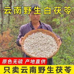 茯苓中药材正品 云南野生特级500克白茯苓粉食用获苓块土伏芩干