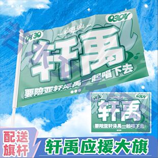 轩禹应援大旗TF家族宋亚轩张泽禹CP应援旗定制轩禹大旗定做