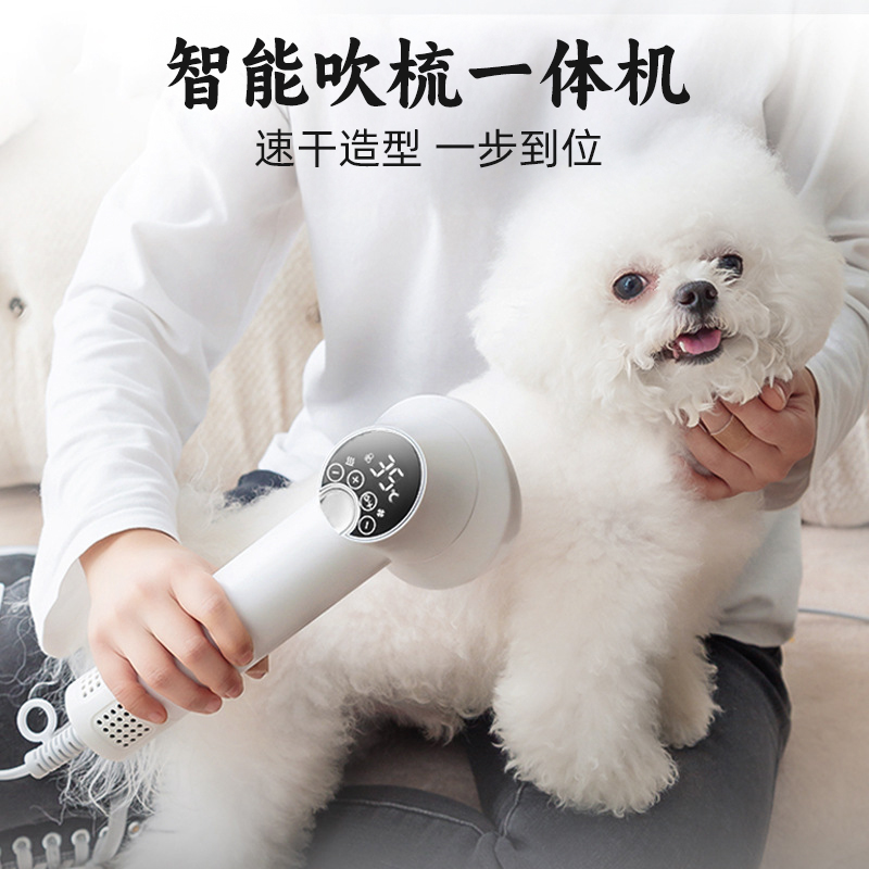 智能宠物吹风机吹梳一体机狗狗洗澡泰迪比熊猫咪博美专用小型迷你