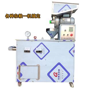 玉米碴子面条机五谷杂粮面条机米线机玉米颗粒面条机生产厂家