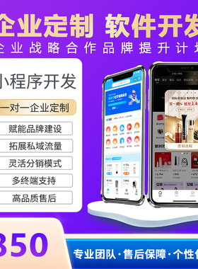 软件开发企业定制B2B2C商城海外商城知识付费预约系统APP小程序