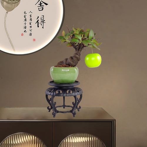 仿真绿植老桩苹果造型盆栽摆件玄关室内客厅桌面乔迁送礼装饰摆件