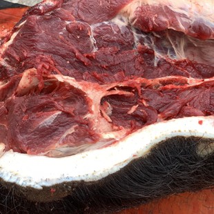 土猪肉贵州山区农家粮食喂养跑山猪蹄黑猪五花肉排骨猪肚现宰新鲜