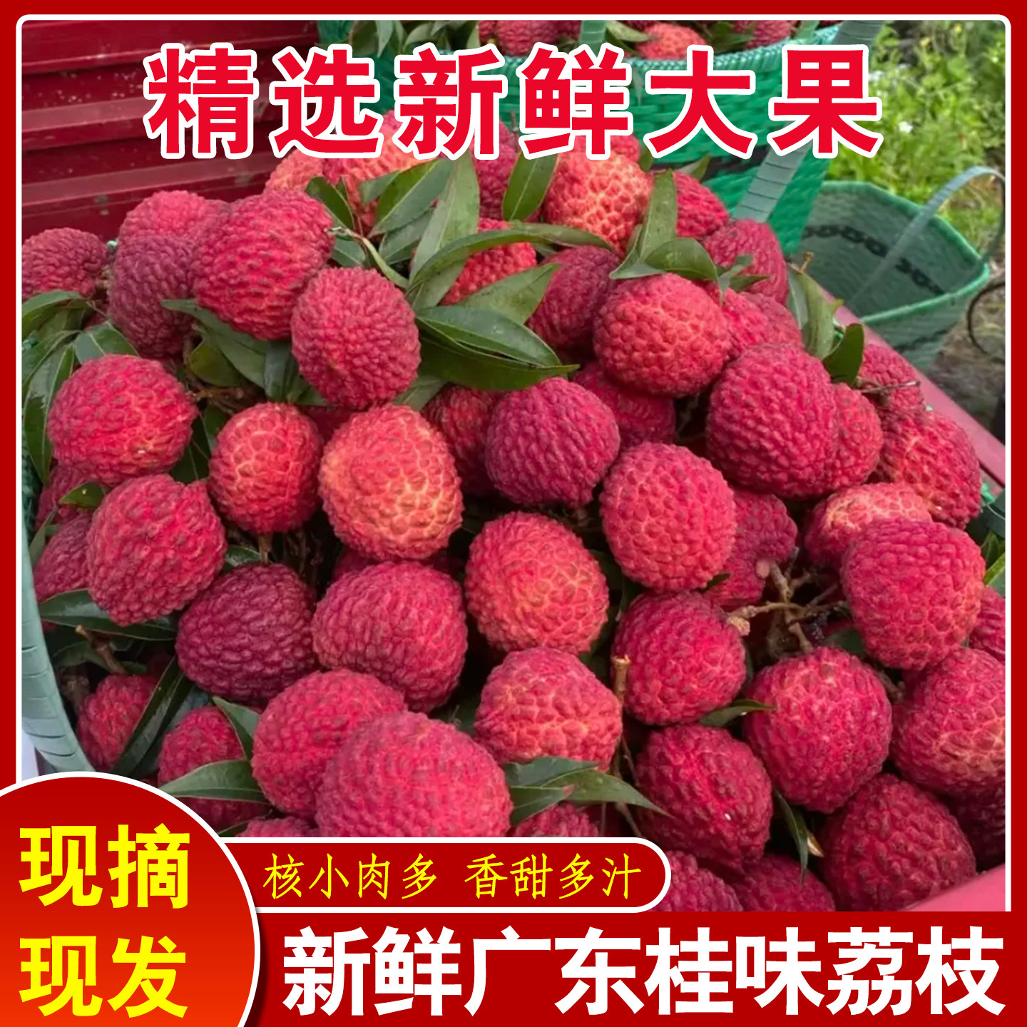正宗妃子笑新鲜水果当季现摘现发海南荔枝白糖桂罂味荔枝顺丰包邮