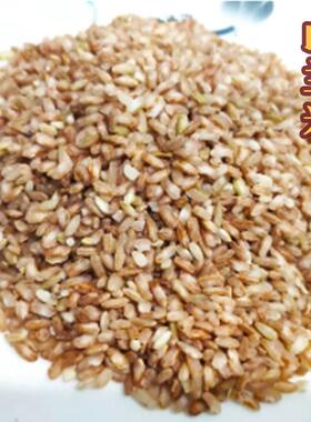 冼祖婆海南原生态山兰米/饼 黎家山兰米原生态粗粮酿酒营养大米