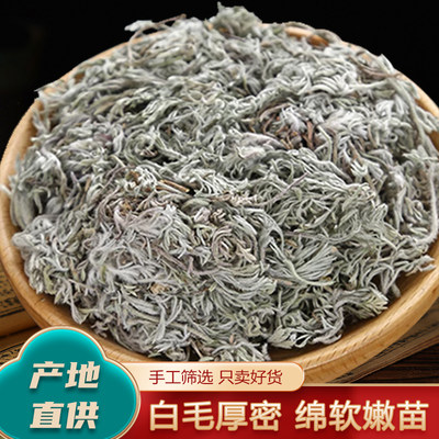 茵陈500g新鲜干货绵茵