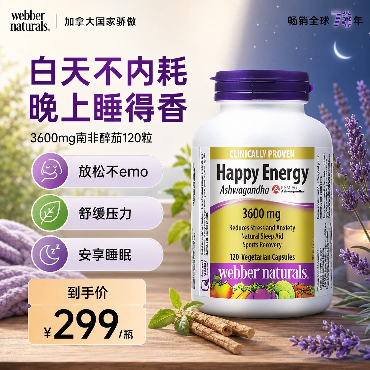 白天不内耗晚上睡得香