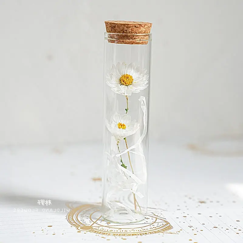 小雏菊玫瑰满天星干花玻璃试管许干花/花瓣/干花包/