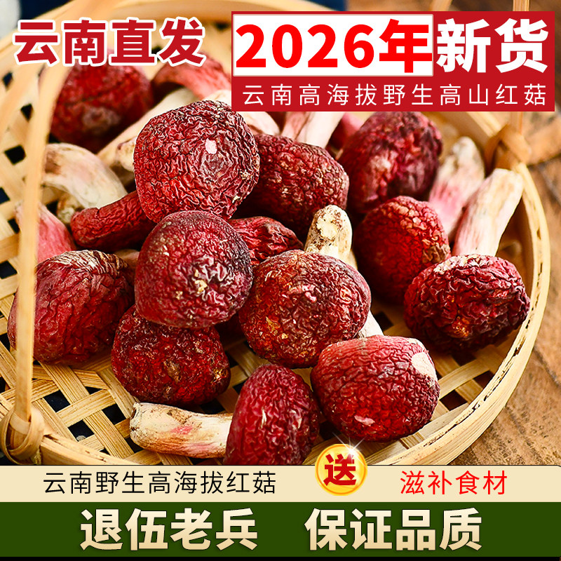 云南土特产旗舰店 营养菌菇类干货 野生红菇 红蘑 非福建野生500g