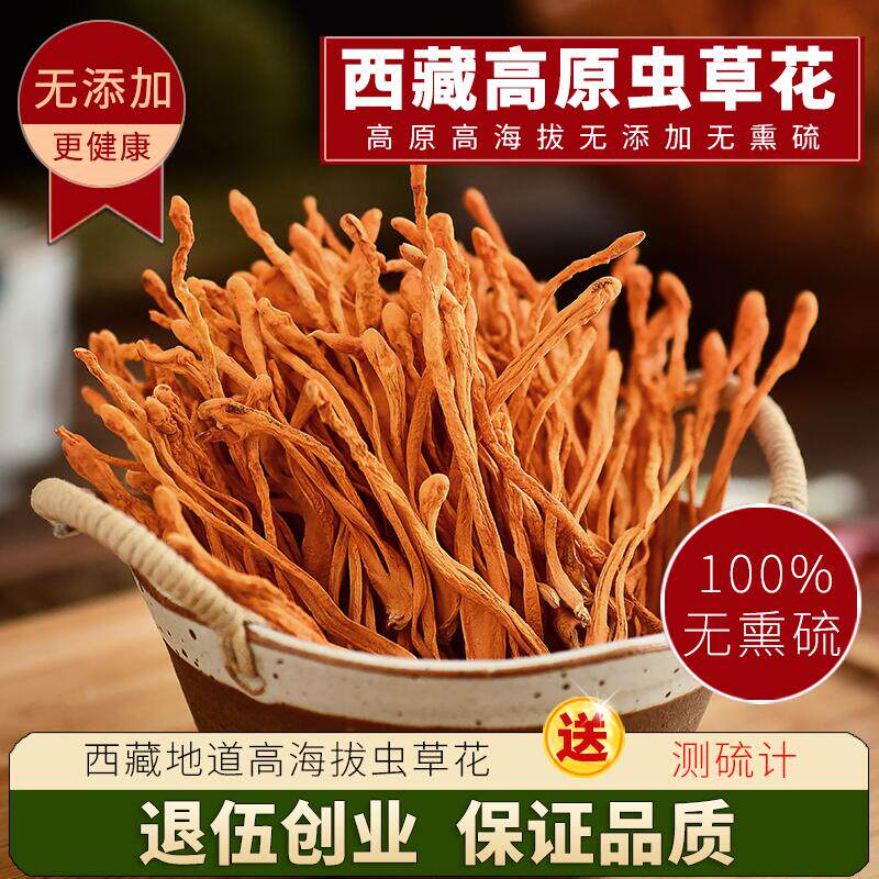 虫草花干货官方旗舰店正品500g商用青藏虫草花北虫草特等级野山生