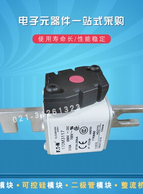 170M3446 3447 3448 3458 3459 3460 3461 3462快速熔断器保险丝
