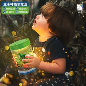 生态种植恐e龙园生态恐龙造景夜光植物小学生科学实验手工课套装