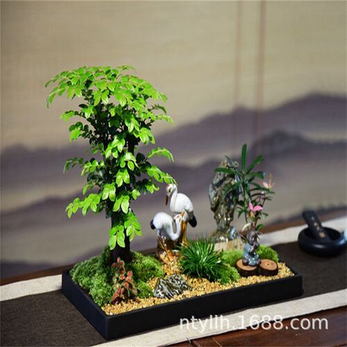 小叶紫檀盆景老桩室内绿植大型植物客厅J黑骨茶稀有盆栽办公桌阳