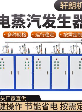 工业全自动电加热蒸汽发生器家用商用电热锅O炉程混凝土桥梁养护
