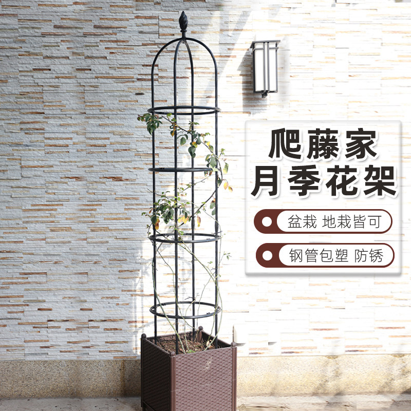 花架爬藤架户外柱形月季铁线莲固定藤架花盆圆柱圆柱支架藤本架子