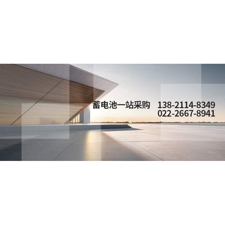 瓦尔塔免维护蓄电池 12v120ah蓄电池 12伏电瓶 铅酸蓄电池