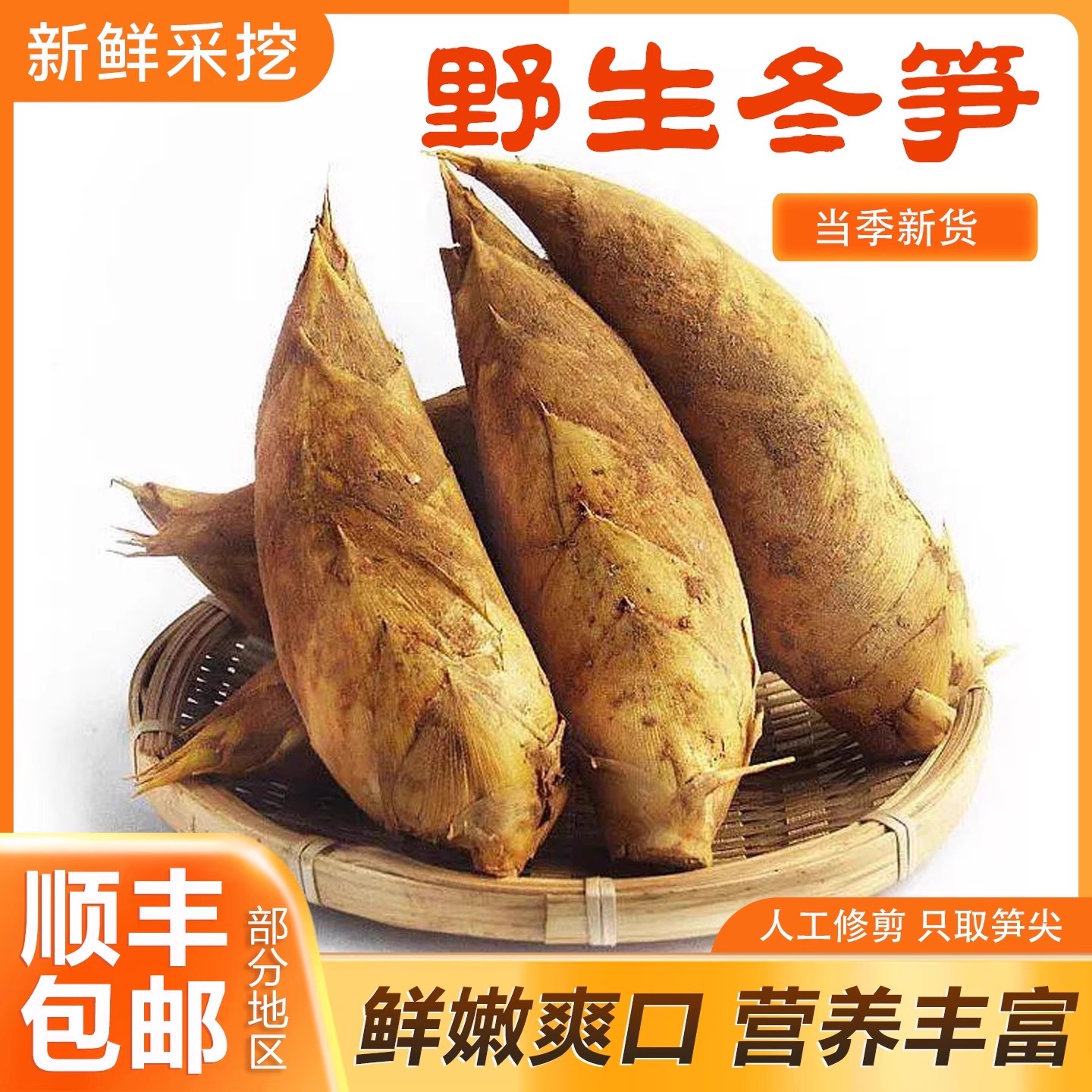 新鲜冬笋农家现摘现发新鲜蔬菜冬笋杭州特产蔬菜临安特产冬笋