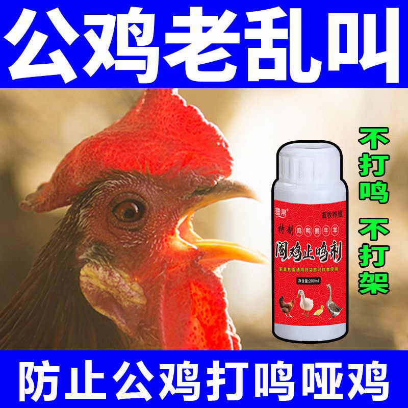 阉鸡专用药防止公鸡打鸣神器不让鸡打鸣哑巴不乱叫全套工具添加剂
