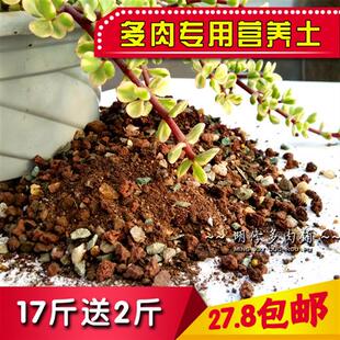 多肉植物颗粒营养包邮土 草炭土火山岩麦饭石蛭石沸石奥绿缓释肥