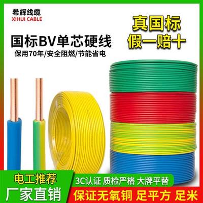 国标铜芯家用BV1.5 2.5 4平方6阻燃家装单股电线10单芯硬线纯铜线