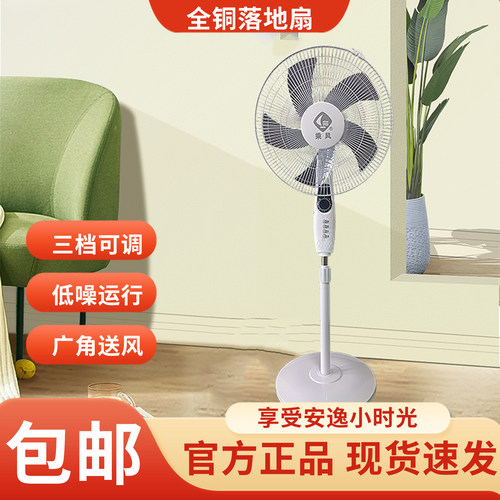 乘风机械摇头落地扇定时全铜四速