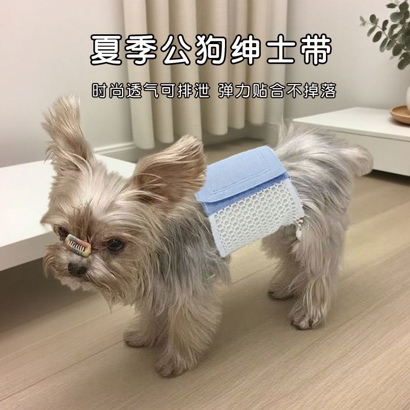 公狗户外防交配绅士带生理裤防孕网格透气舒适不勒可漏尿泰迪金毛