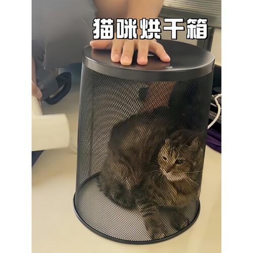 宠物烘干箱猫咪小型犬洗澡专用吹干神器家用吹风机防抓咬宠物吹毛