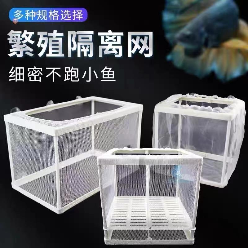 鱼缸隔离网水族箱隔离器隔离盒网孵化器孔雀鱼迷你鹦鹉繁殖箱图片