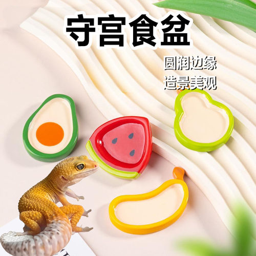 守宫食盆水盆果泥碟钙粉碟小号睫角豹纹蜥蜴爬宠专用喂食造景用品