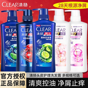 清扬洗发水男女士情侣用去屑控油水润养护清爽型正品组合500g