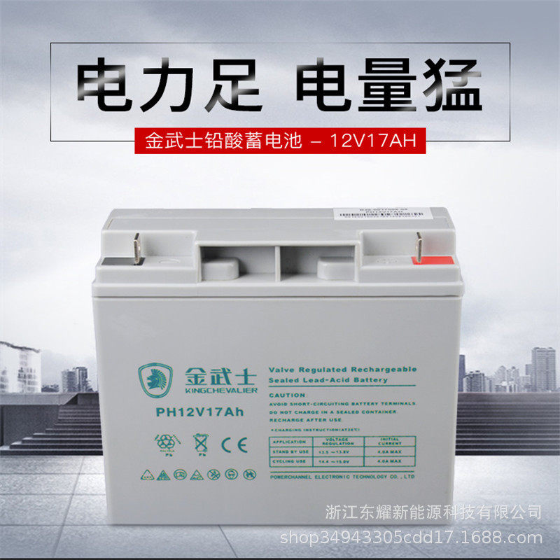 金武士电池12V17AHP-YAU