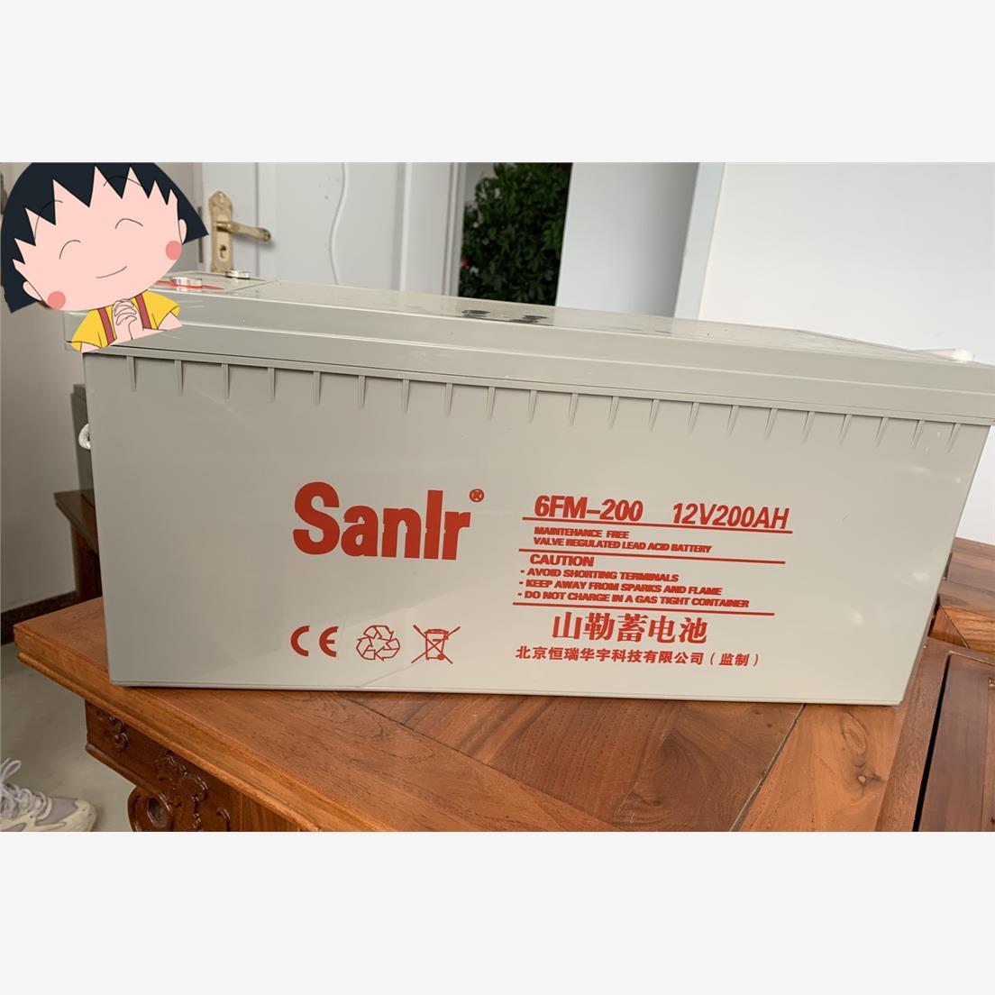 山勒12V200AH蓄电池6FM-