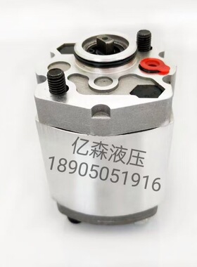 Boden博顿齿轮泵BKP1Q0S0.8/1.1/1.3/1.6/1.8/2.1/2.7/3.2G0L1-B