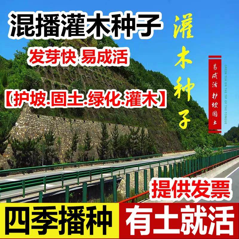 混播灌木种子护坡固土草籽
