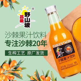 沙棘汁吕梁野山坡浓度40%饮料网红瓶装251ml山西特产生榨果汁整箱